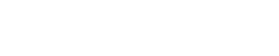 SHAPING HISTORY